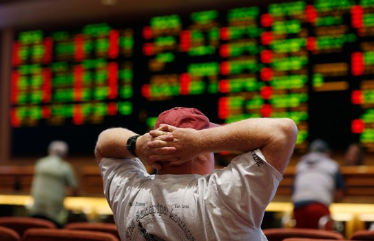 gambling sportsbook