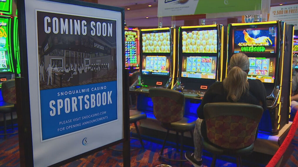 gambling sportsbook